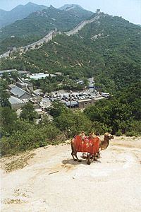 kina08.jpg