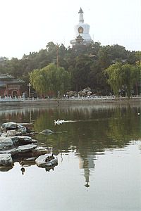 kina11.jpg